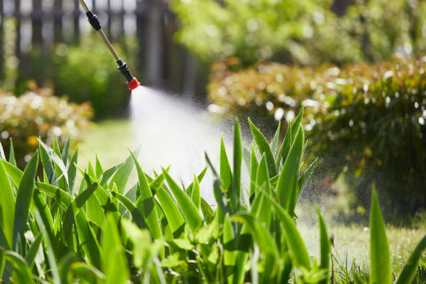 24/7 Emergency Wasp Removal experts in Canton, IL